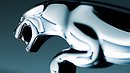 Jaguar хочет выпустить «заряженную» модификацию универсала XF